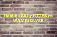 C Mo Habilitar Ssl En Wampserver Desde Windows F Cil Y R Pido Mentazen